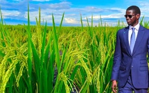 CAMPAGNE DE COMMERCIALISATION AGRICOLE 2026-2027 : Plus de 200 milliards F Cfa à mobiliser
