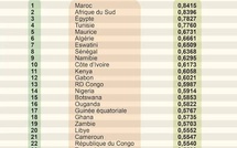 INDICE DE L’INDUSTRIALISATION EN AFRIQUE PAR LA BAD (2010-2024) Le Sénégal au 8ᵉ rang africain : l’arbre de la performance qui cache la forêt des failles structurelles