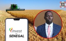 MOUHAMED SALL LORS DE L'ATELIER FLOUR RISING AFRICA « Le blé cultivé au Sénégal est aussi compétitif que le blé importé »